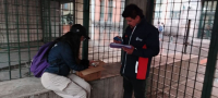 Rescatan a cachorros que se pretendían comercializar en el Centro Histórico de Quito